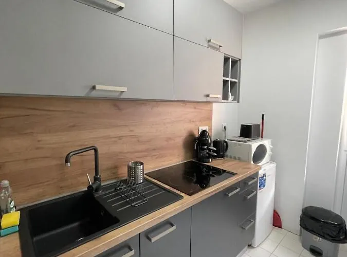 アパート Viczentrum *